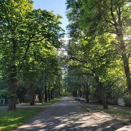 Balatonszemesi Nyaralohaz *