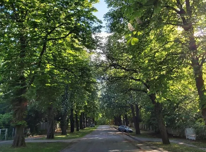 Balatonszemesi Nyaralohaz *